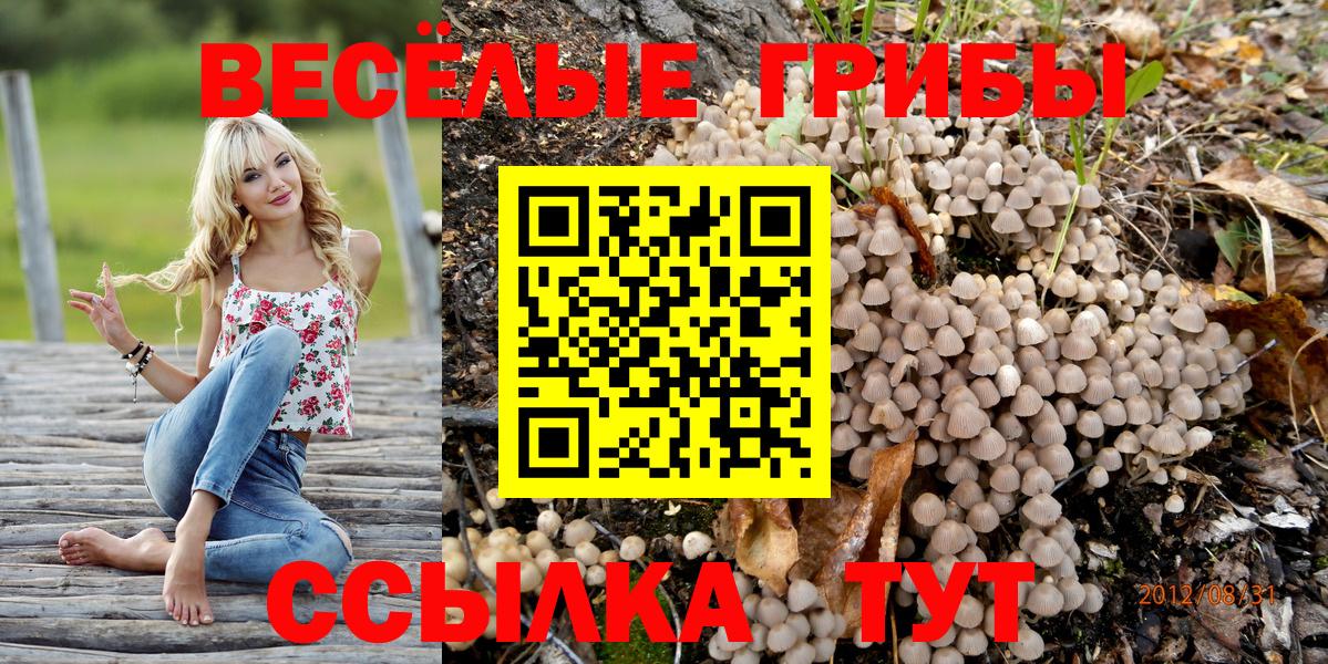 Псилоцибиновые грибы мухоморы Ржев
