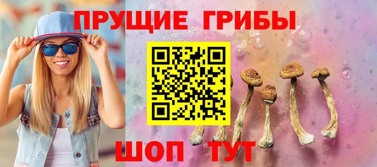 Галлюциногенные грибы Cubensis  где купить наркоту  Ржев  Псилоцибиновые грибы Psilocybe  Вход с VPN 